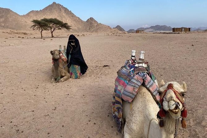 Sunset, Candle Light Dinner & Star Gazing from Hurghada - Stargazing with a telescope