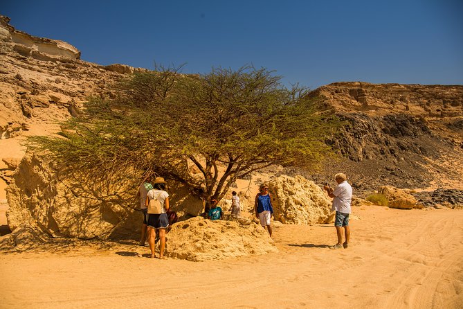 Sunset Oasis Desert Experience in El Gouna and Hurghada - Key details before you book