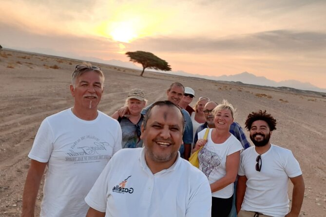 Sunset Oasis Desert Experience in El Gouna and Hurghada - Why this desert trip feels different
