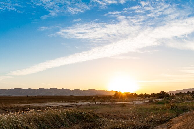 Sunset Oasis Desert Experience in El Gouna and Hurghada - Families, couples, and solo visitors