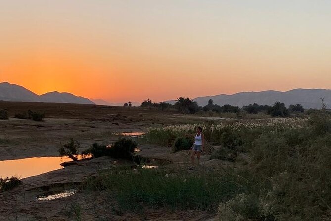 Sunset Oasis Desert Experience in El Gouna and Hurghada - Practical booking advice for Hurghada and El Gouna