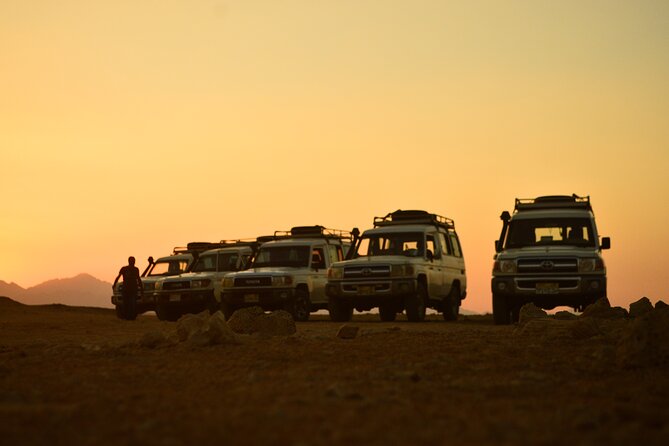 Sunset Safari trip by Jeep - Who should book this sunset safari?