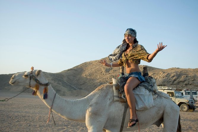 Super Safari Adventure ATV Quad & Camel Ride & Dinner - Hurghada - Dinner, tea, and the evening show