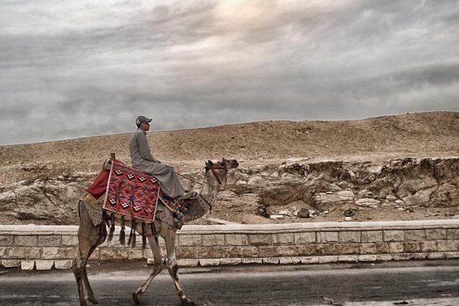 Super Safari ATV, Drive Buggy Car, Camel Ride, Bedouin Dinner, Show-Hurghada - The camel ride is short and worth considering carefully