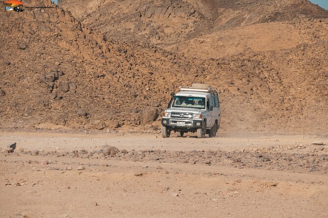 Super Safari ATV Quad, Jeep & Camel Ride with Dinner - Hurghada - Guides can make or break this day