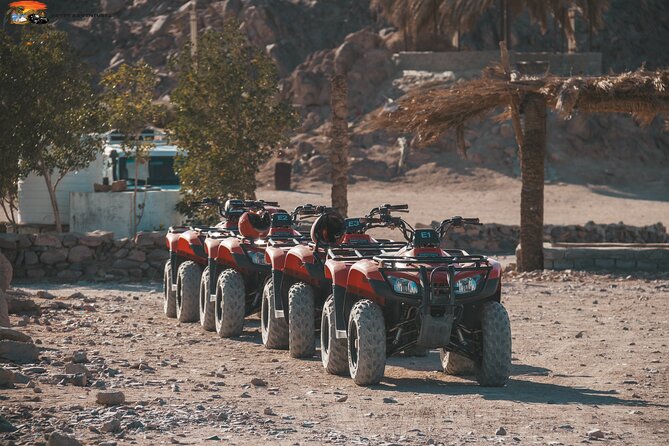 Super Safari ATV Quad, Jeep & Camel Ride with Dinner - Hurghada - Who will enjoy this Hurghada safari most