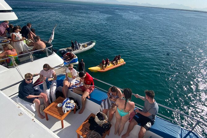 Swim with Dolphins VIP snorkeling Boat Trip with lunch - Hurghada - Banana and Quadra rides between swims