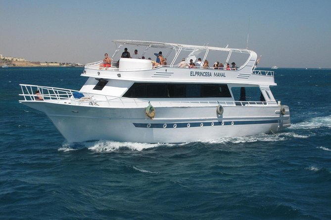 Swimming with Dolphin VIP Snorkeling Sea Trip With Lunch and Transfer - Hurghada - Water sports and optional stops