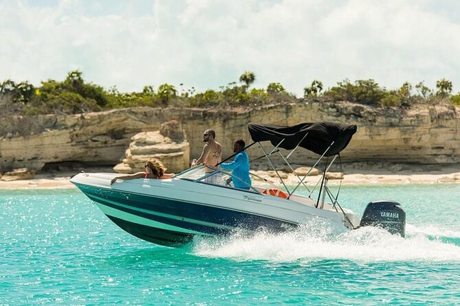 Swimming with Dolphins by Private Speed Boat - Hurghada - What the private boat changes