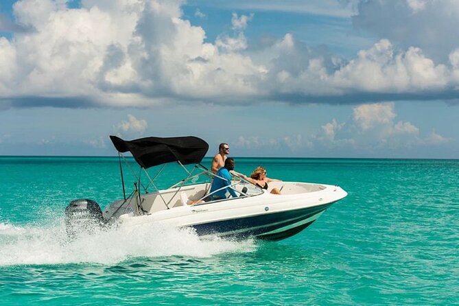Swimming with Dolphins by Private Speed Boat - Hurghada - Is $65 a fair price?