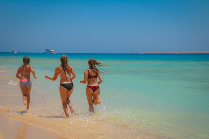 Swimming with Dolphins by Private Speed Boat - Hurghada - Who will enjoy this Hurghada trip most?