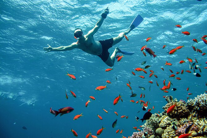 The Giftun Island Orange Sea Excursion from Hurghada - The Cruise Toward Orange Bay and Giftun