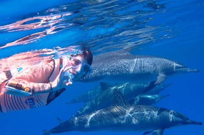 Tour and Swimming at the Dolphin House in Hurghada - Two 45-minute snorkeling stops on the Red Sea