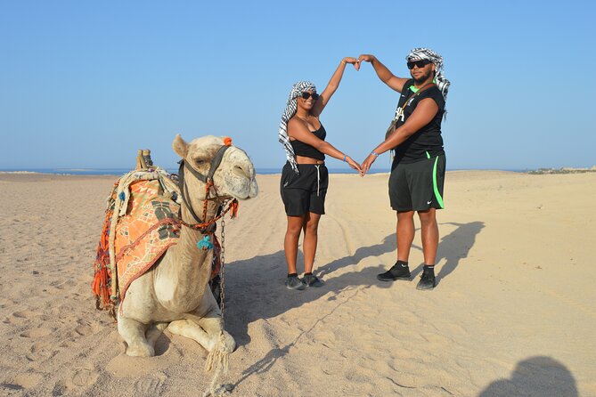 Tour in Hurghada Arabian Night and Star Watching - Key points at a glance