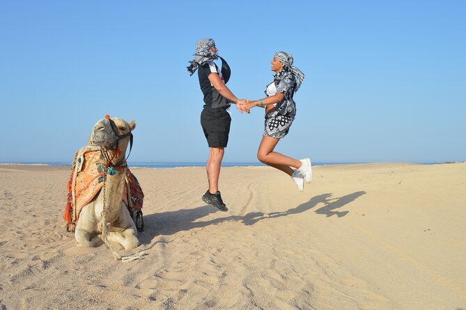 Tour in Hurghada Arabian Night and Star Watching - Camels, horses, and the small farm