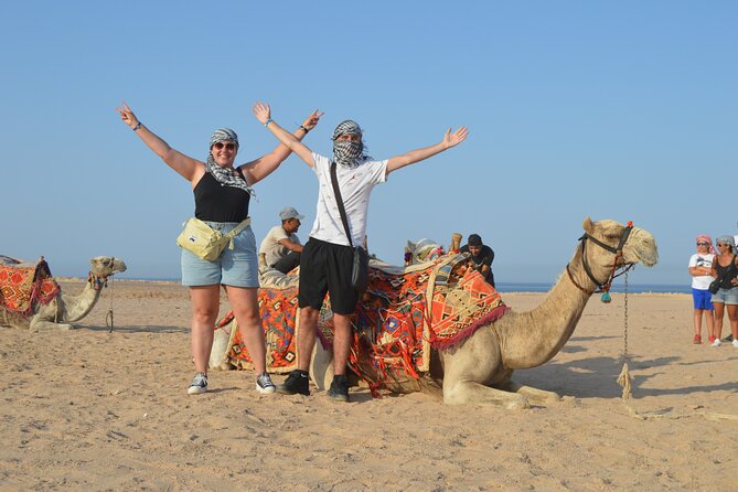 Tour in Hurghada Arabian Night and Star Watching - Telescopes and the night sky