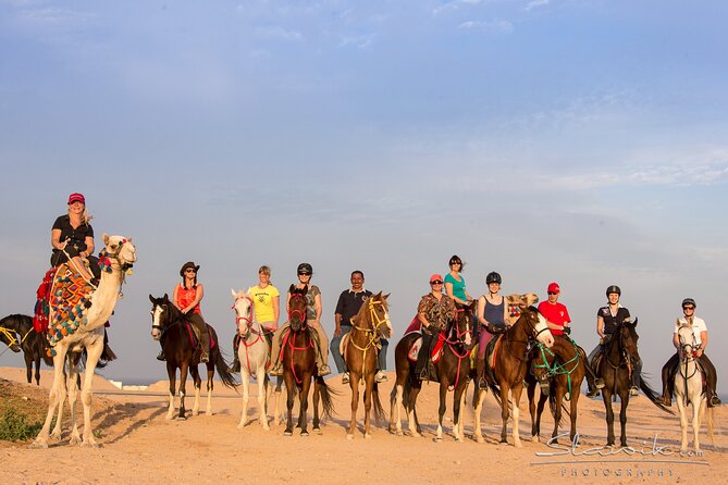 Tour in Hurghada Arabian Night and Star Watching - One hour on the quad bikes