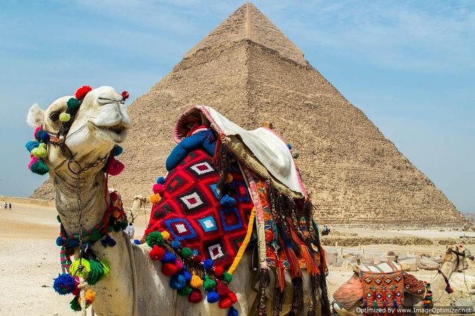 Tour to Cairo and the Pyramids from EL Gouna by A/C Vehicle - Why this Cairo day trip makes sense from El Gouna