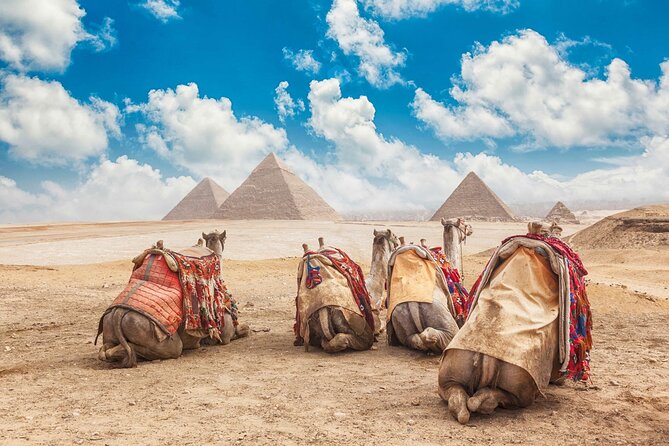 Tour to Cairo and the Pyramids from EL Gouna by A/C Vehicle - Two hours inside the Egyptian Museum