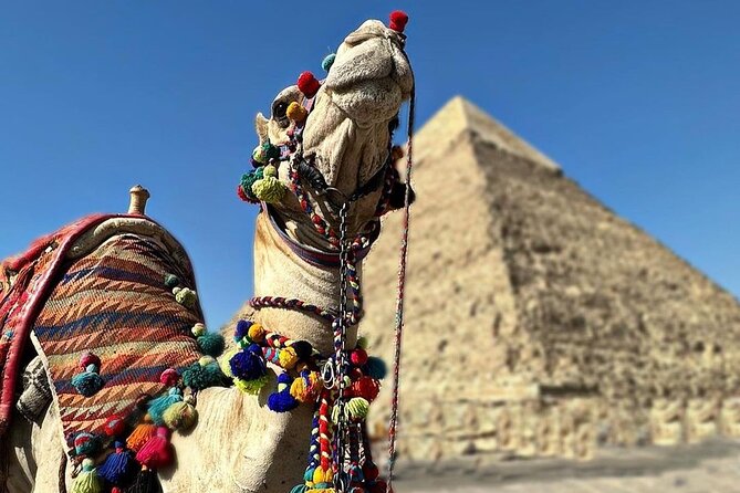 Tour to Pyramids and The Egyptian Museum - Transport, timing, and the private format