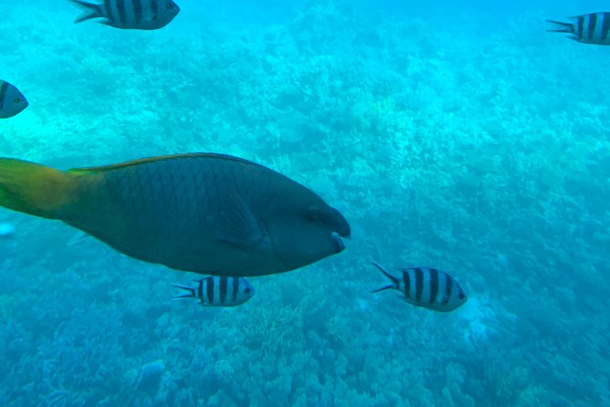 Trip on a glass bottom boat from Hurghada - Boarding at New Harbor