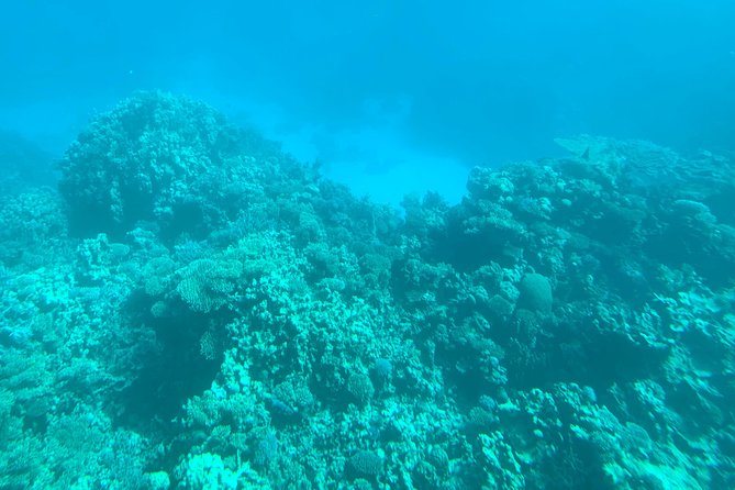 Trip on a glass bottom boat from Hurghada - What the $17.43 price really covers