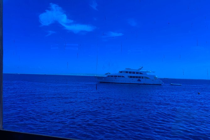 Trip on a glass bottom boat from Hurghada - Practical tips for a smoother day