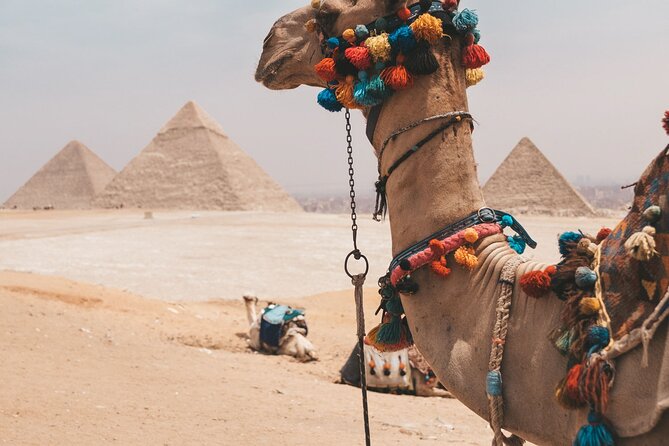 Trip To Cairo from Alexandria - Is a day trip from Alexandria worth the long drive?