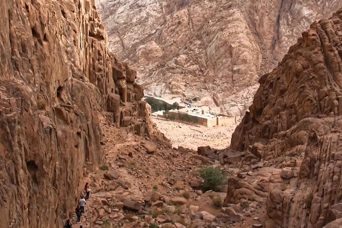Trip To Mount Sinai & St Catherine From Cairo - Day one: the long road to St Catherine