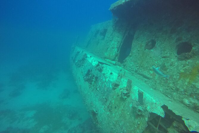Try Scuba Diving Experience for Beginners in Hurghada - Why Hurghada is a fine place to try scuba