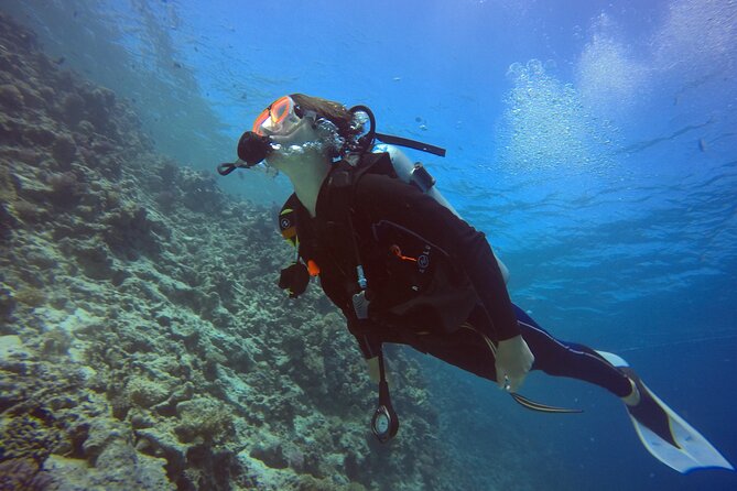Try Scuba Diving Experience for Beginners in Hurghada - Is $207.09 good value?