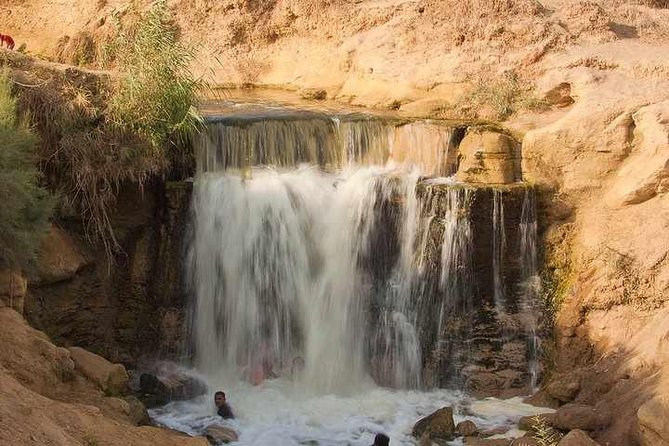 Valley of Whales and Wadi El Rayan Water Falls Day Tour from Cairo - Why this Fayoum day trip is worth your time