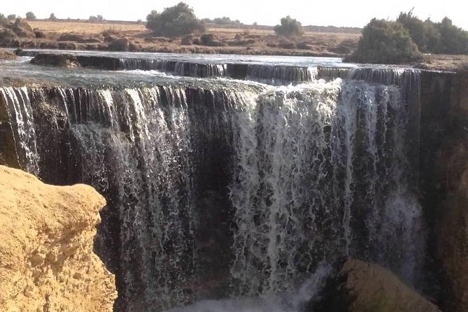 Valley of Whales and Wadi El Rayan Water Falls Day Tour from Cairo - The Valley of the Whales and its ancient story