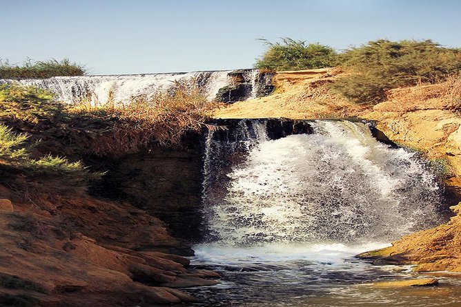 Valley of Whales and Wadi El Rayan Water Falls Day Tour from Cairo - Starting at 7 a.m. from Cairo