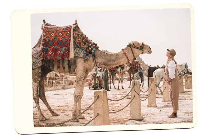 VIP All inclusive Best of Giza Pyramids, Sphinx, Sakkara, Memphis - Memphis: ancient capital and oversized sculpture