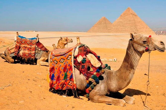 VIP All inclusive Best of Giza Pyramids, Sphinx, Sakkara, Memphis - Lunch, shopping, and optional additions