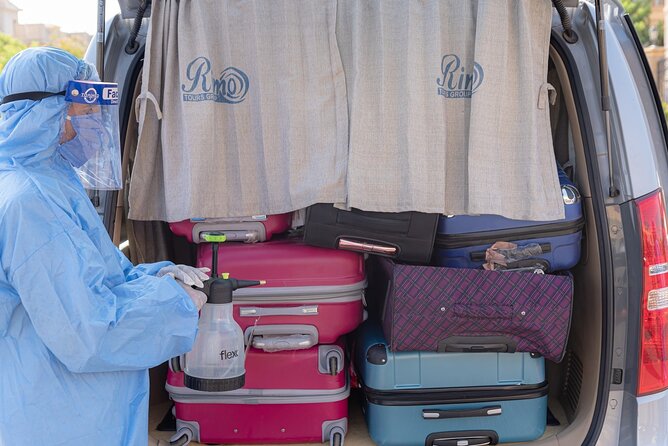VIP Meet and Assist in Cairo Airport with Private Transfer to Cairo Hotels - Key points to know before landing
