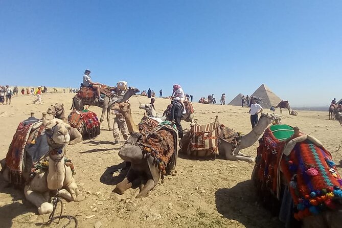 Vip Top Private Tour to Giza Pyramids and Sphinx with camel ride - Why a Private Half Day Works Well at Giza