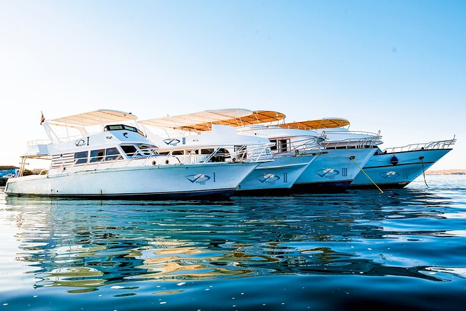 Viva Egypt hurghada Hula Hula Island & Lunch & Water sports 3<em>1 – Key points to know before booking’ /></p>
<ul>
<li><strong>Two snorkeling stops:</strong> You get about one hour at the first coral reef, with a second stop included in the day’s program.</li>
<li><strong>Hula Hula and Paradise Island:</strong> The experience uses both names in its description, but the main beach stop is the same island outing.</li>
<li><strong>$30 covers plenty:</strong> Lunch, bottled water, tea or coffee, soda, and snorkeling equipment are included.</li>
<li><strong>Extra transport charges apply:</strong> Transfers from El Gouna or Sahl Hasheesh cost $5 per person, while Makadi, Safaga, and Soma Bay cost $10.</li>
<li><strong>Water sports are included:</strong> Banana and Quadra rides are part of the package, but ask for a life jacket before departure.</li>
<li><strong>Confirm your pickup:</strong> The tour begins at Royal Lagoons The Private Beach, and pickup problems have occurred.</li>
</ul>
<h2 id="what-this-hurghada-boat-day-is-really-like">What this Hurghada boat day is really like</h2>
<p>1 – What this Hurghada boat day is really like’ /></p>
<p><p>This is a classic Red Sea day trip with a useful mix of sea time and beach time. You are not signing up for a quiet private cruise. You are joining a small organized excursion that takes you from Hurghada to a reef, then to an island beach, with lunch and simple water rides added along the way.</p>
</p>
<p><p>The day lasts about seven to eight hours. Pickup begins around 8:00 AM, followed by a transfer to the marina. From there, the boat takes roughly 45 minutes to reach the first snorkeling area.</p>
</p>
<p><p>I like the basic shape of the trip. The boat ride gives you a proper sense of leaving the resort coast behind, while the island stop gives you time to dry off, eat, and relax. You do not spend the whole day rushing from one scheduled activity to the next.</p>
</p>
<p><p>The name can cause a little confusion. The experience is called Hula Hula Island, while the description also calls the destination Paradise Island. In practice, you should think of it as one island beach excursion marketed under both names, not two separate islands.</p>
</p>
<div class="twil" style="margin: 20px 0; padding: 15px 0;"><p>A few more Hurghada outings to price up</p><ul style="margin: 10px 0; padding-left: 0; list-style: none;"><li style="margin: 0 0 12px 0; padding: 0 0 12px 0; border-bottom: 1px solid #eee; line-height: 1.4;"><a href="https://theegyptianguide.com/hurghada-luxury-cruise-trip-to-orange-bay-with-lunch/">Hurghada: Luxury Cruise Trip to Orange Bay with Lunch</a><br><span style="font-size: 0.82em; color: #555;"><span style="color: #1B4C93;">★</span> 4.9 &nbsp;&middot;&nbsp; 5,451 reviews</span></li><li style="margin: 0 0 12px 0; padding: 0 0 12px 0; border-bottom: 1px solid #eee; line-height: 1.4;"><a href="https://theegyptianguide.com/hurghada-orange-bay-island-boat-trip-w-breakfast-and-lunch/">Hurghada: Orange Bay Island Boat Trip w/ Breakfast and Lunch</a><br><span style="font-size: 0.82em; color: #555;"><span style="color: #1B4C93;">★</span> 4.9 &nbsp;&middot;&nbsp; 5,345 reviews</span></li><li style="margin: 0; padding: 0; border-bottom: none; line-height: 1.4;"><a href="https://theegyptianguide.com/hurghada-3-islands-dolphins-snorkel-yacht-trip-w-lunch/">Hurghada: 3 Islands, Dolphins & Snorkel Yacht Trip w/ Lunch</a><br><span style="font-size: 0.82em; color: #555;"><span style="color: #1B4C93;">★</span> 4.7 &nbsp;&middot;&nbsp; 4,609 reviews</span></li></ul></div><h2 id="the-800-am-start-and-marina-transfer">The 8:00 AM start and marina transfer</h2>
<p><img width="669" height="446" decoding="async" src=